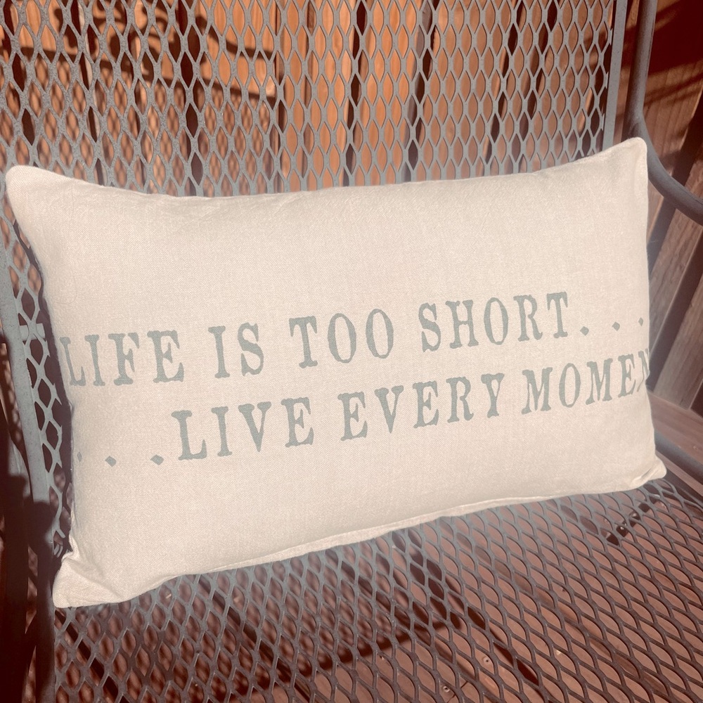 ❗️SALE❗️NWOT Goose down decorative pillow